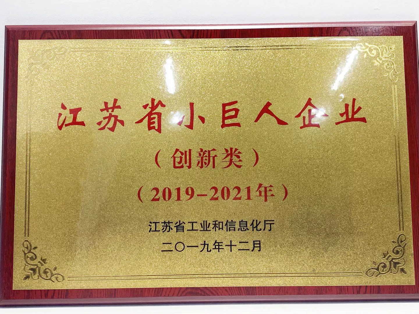 Jiangsu Little Giant Enterprise